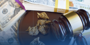 Money with a gavel and marijuana
